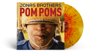 Jonas Brothers Vinyl Bundle for ashleigh35 deals